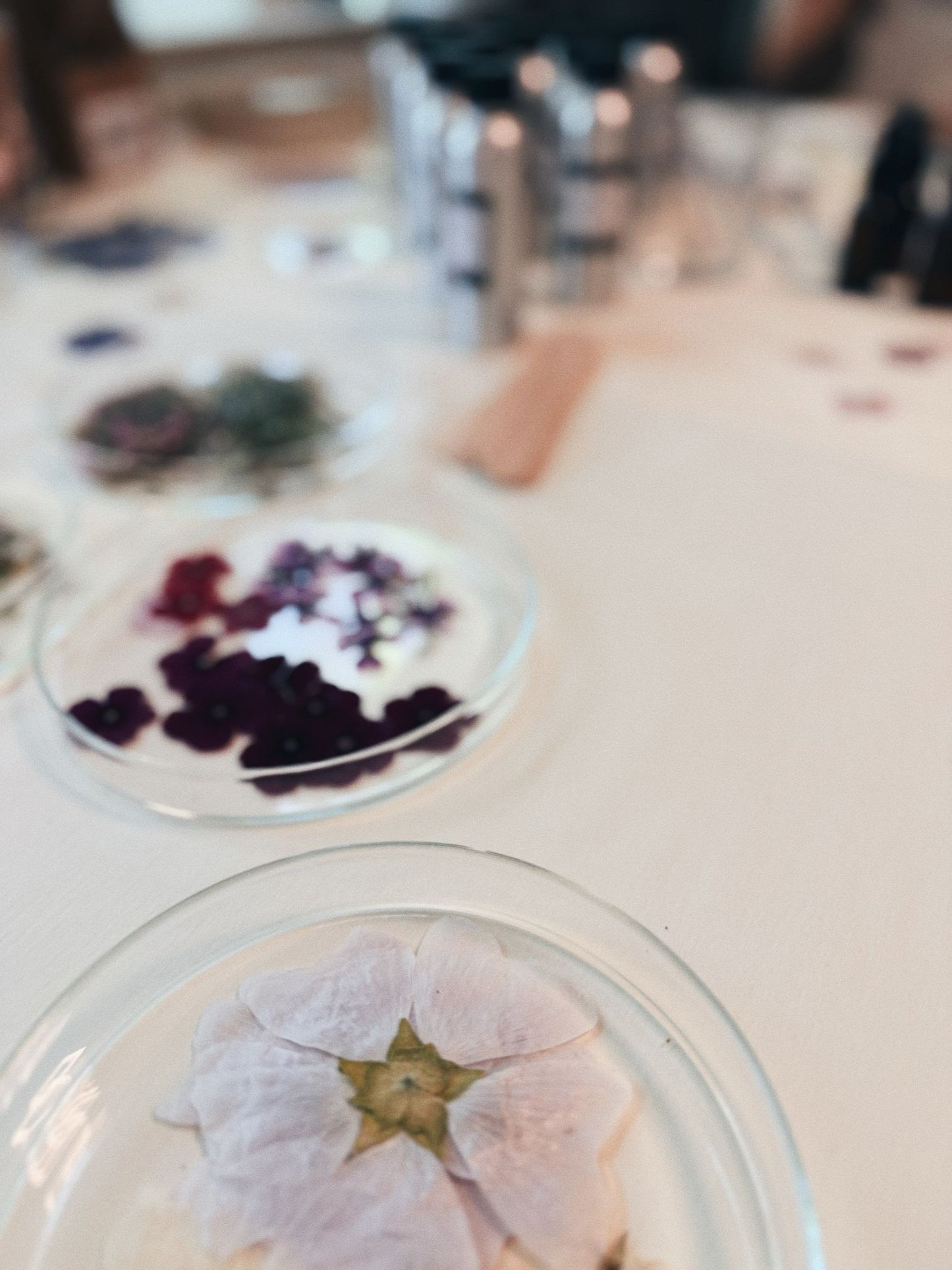 Botanical Candle Workshop (Heidelberg)